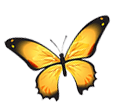 Butterfly Icon