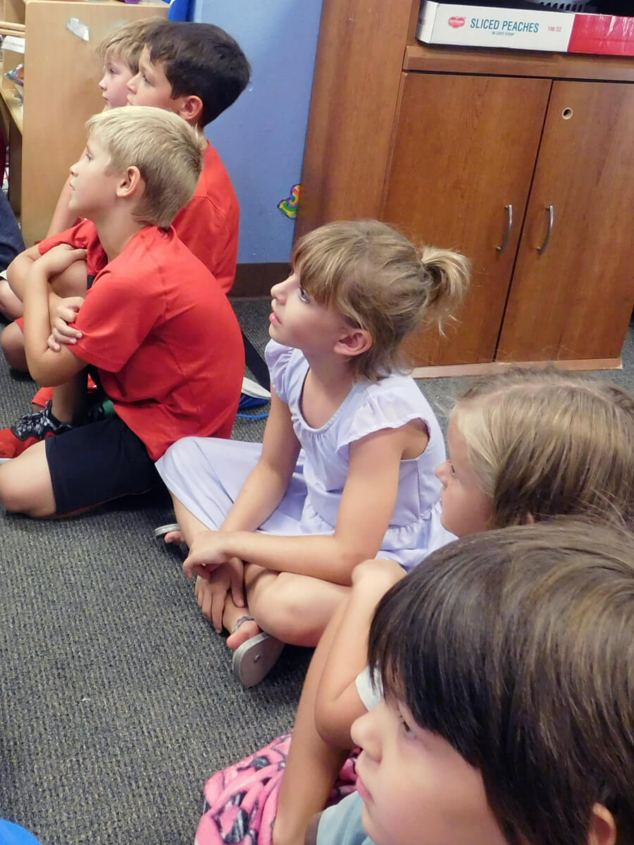 endless discoveries child development